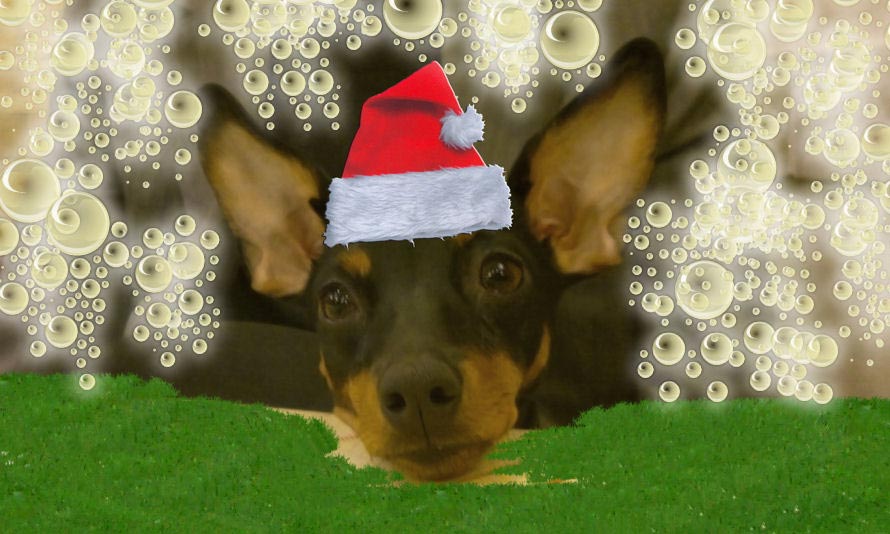 Buon Natale a felice anno nuovo da Agata