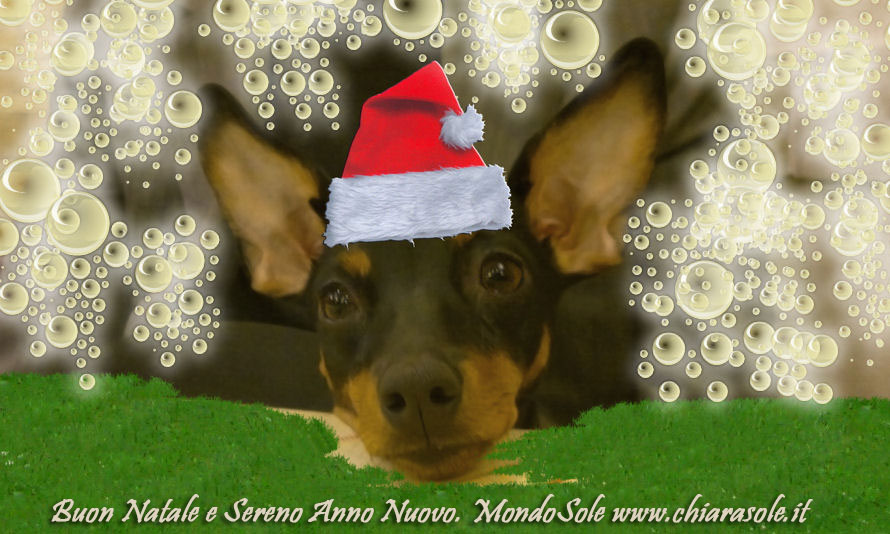 Buon Natale a felice anno nuovo da Agata