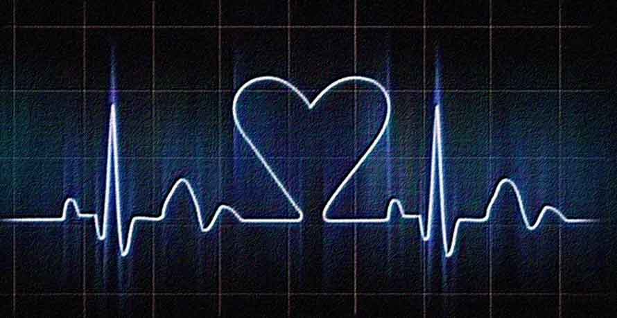 cuore vita