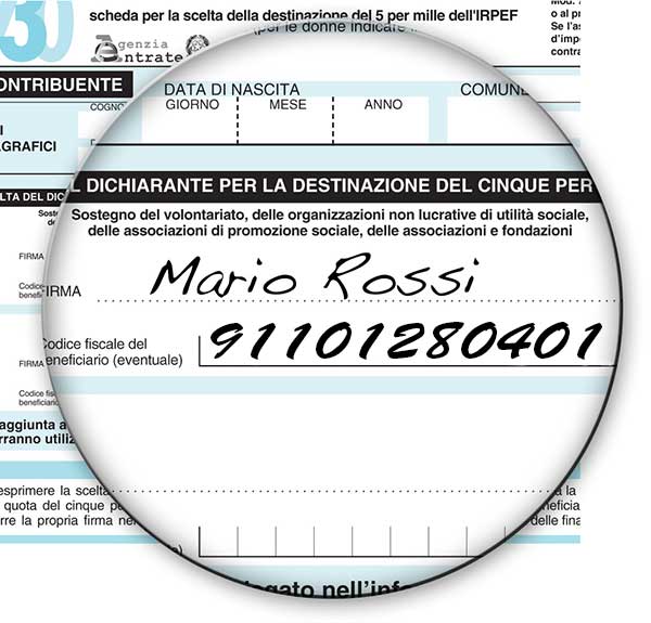 5 x 1000 MondoSole